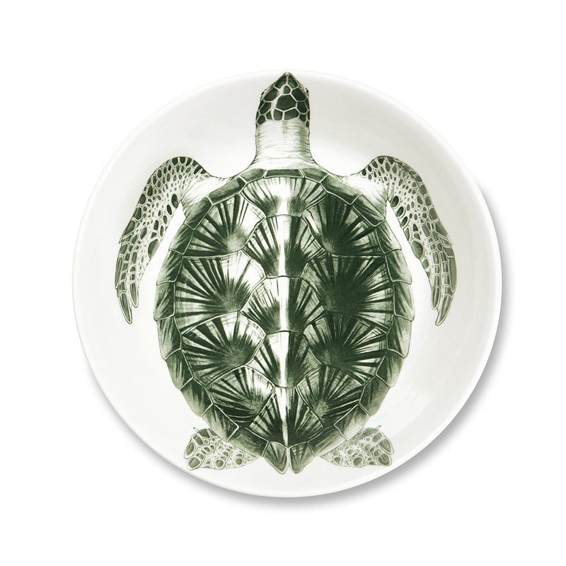 Assiette creuse - Tortue