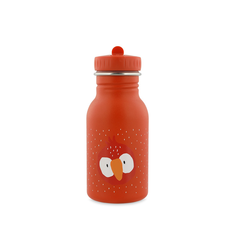 Bouteille Mr Parrot en acier inoxydable 350 ml