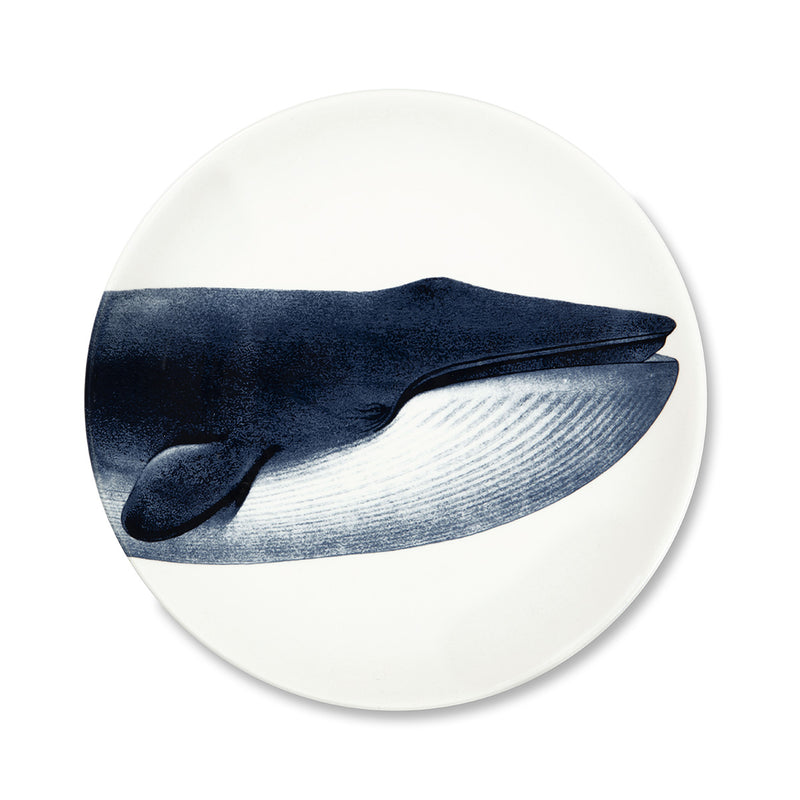 Flat plate - Whale