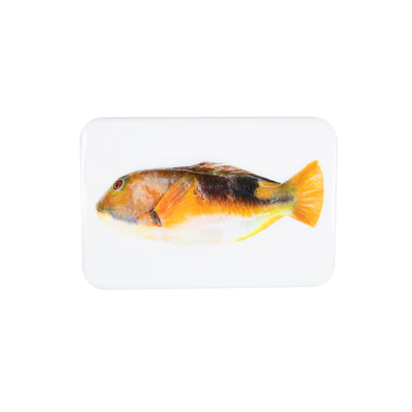 Décoration murale Poisson-Perroquet Orange - 29 x 20 cm