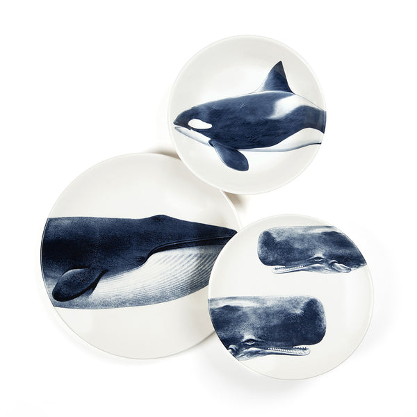 Assiette plate - Baleine