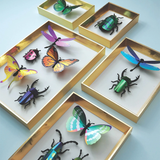 Ensemble d'insectes en papier | Fleux | 3