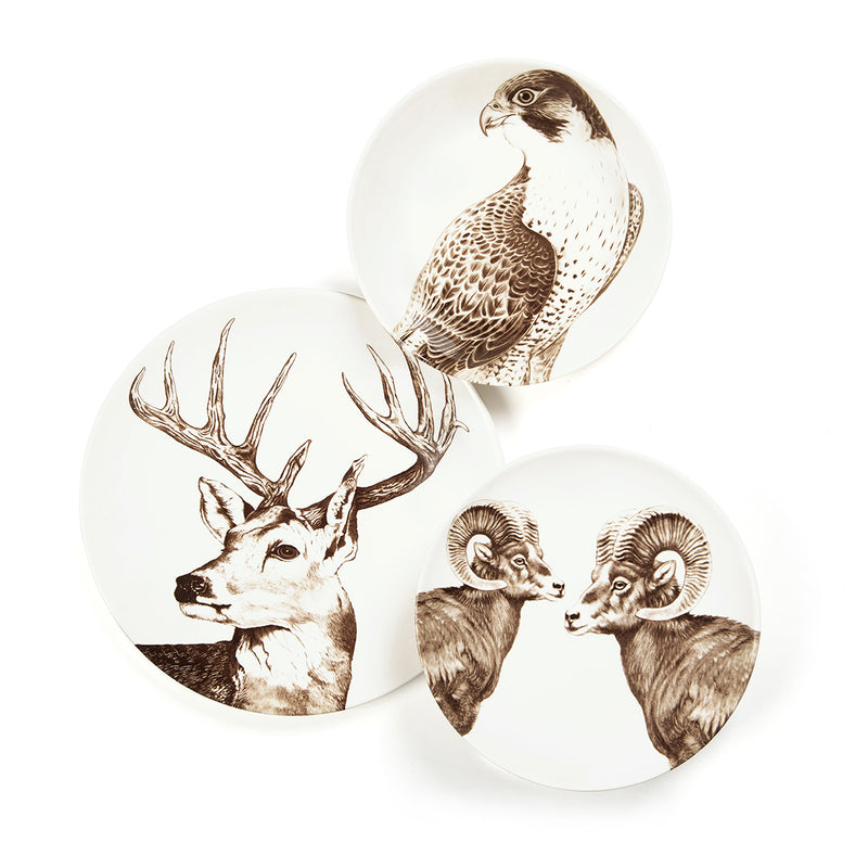 Flat plate - Deer