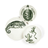 Assiette plate - Cameleon | Fleux | 5