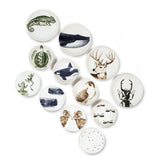 Flat plate - Deer | Fleux | 7