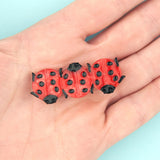 Barrette Coccinelle | Fleux | 12