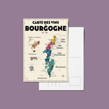 Pack 13 Cartes Postales Les Vins de France - 30 x 40 cm - Ecru | Fleux | 6