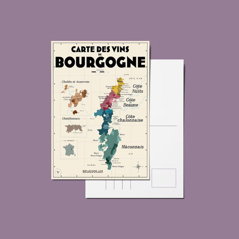 Pack 13 Cartes Postales Les Vins de France - 30 x 40 cm - Ecru