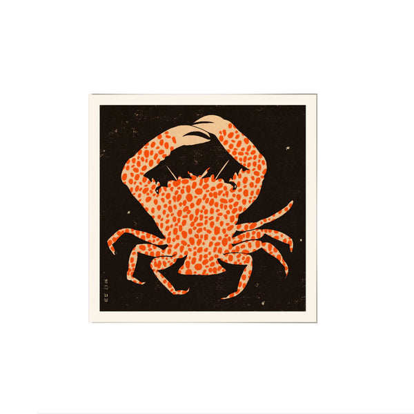 Affiche Spotted Calico Crab - 50 x 50 cm