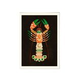 Affiche Eged Magic Lobster - 30 x 40 cm | Fleux | 4