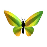 Trophée Origami Papillon Birdwing Vert Mangue | Fleux | 2