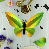 Trophée Origami Papillon Birdwing Vert Mangue | Fleux | 3