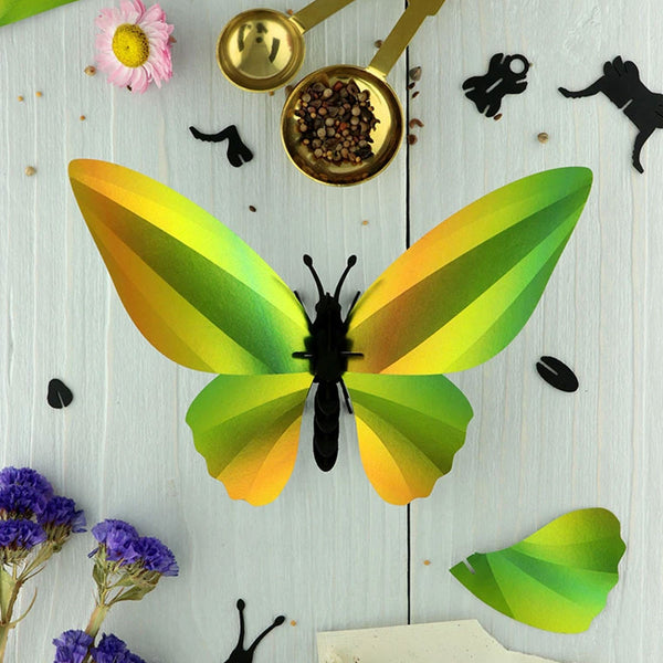 Trophée Origami Papillon Birdwing Vert Mangue