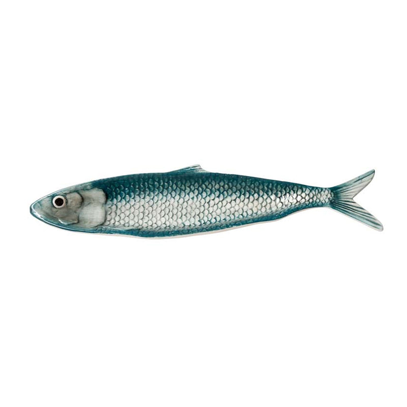 Plateau Sardine bleutée