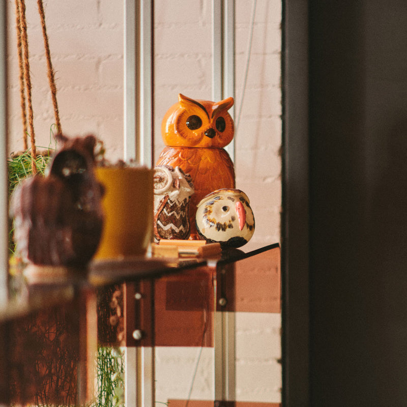 Ceramic Tangerine Owl Pot - 16.5 x 16.2 x 8.5 cm 