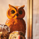 Ceramic Tangerine Owl Pot - 16.5 x 16.2 x 8.5 cm  | Fleux | 9